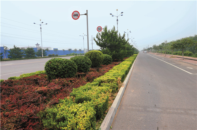 河南滑县新区文明路